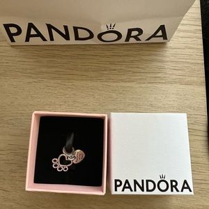 Pandora charm